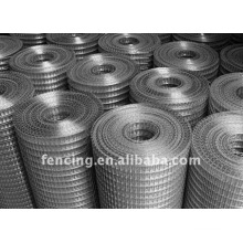 Electrical Galvanized Welded Wire Mesh (factory)